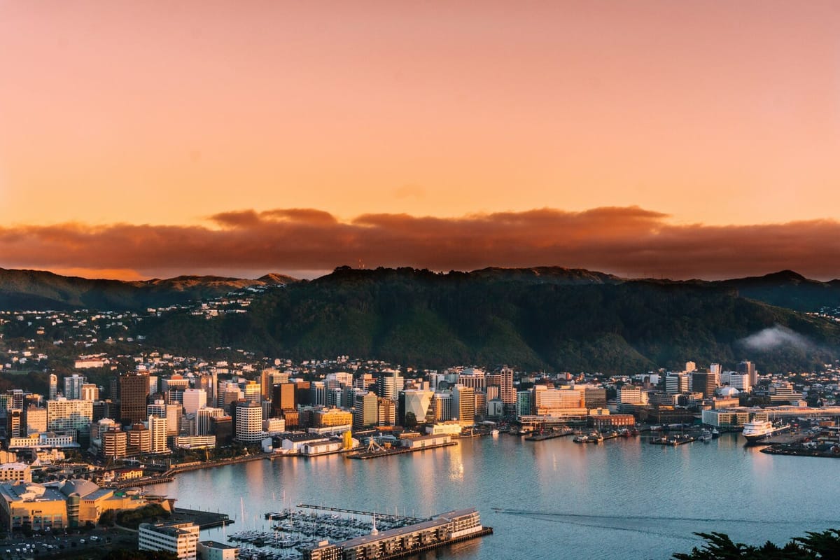 Wellington city and harbour at sunrise, seen from the hills above the central business district
