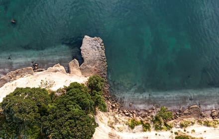 Aerial view of a turquoise New Zealand coastline