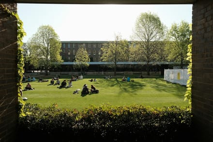 Students sitting on a sunlit university lawn, framed by a brick archway