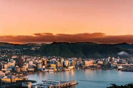 Wellington city and harbour at sunrise, seen from the hills above the central business district