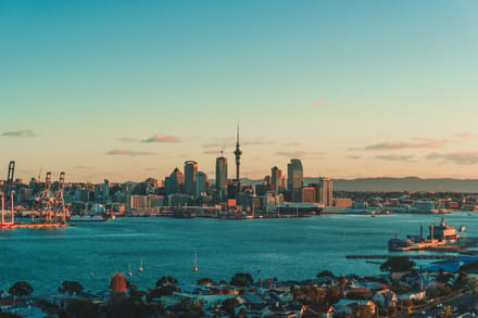 A New Zealand city harbour at golden hour, calm and practical, the kind of place where a work visa plan starts to feel real.
