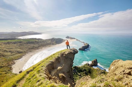 A person standing on a clifftop above a long curved beach